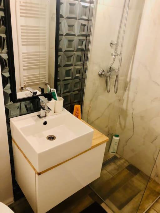 Joy Libertatii 9mai 7 Apartment Timişoara