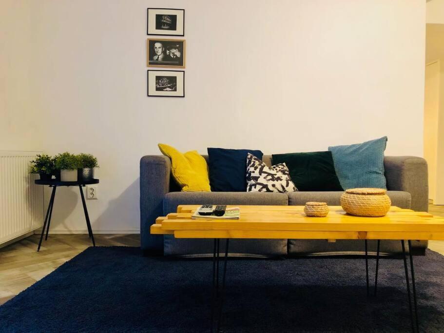Joy Libertatii 9mai 7 Apartment Timişoara